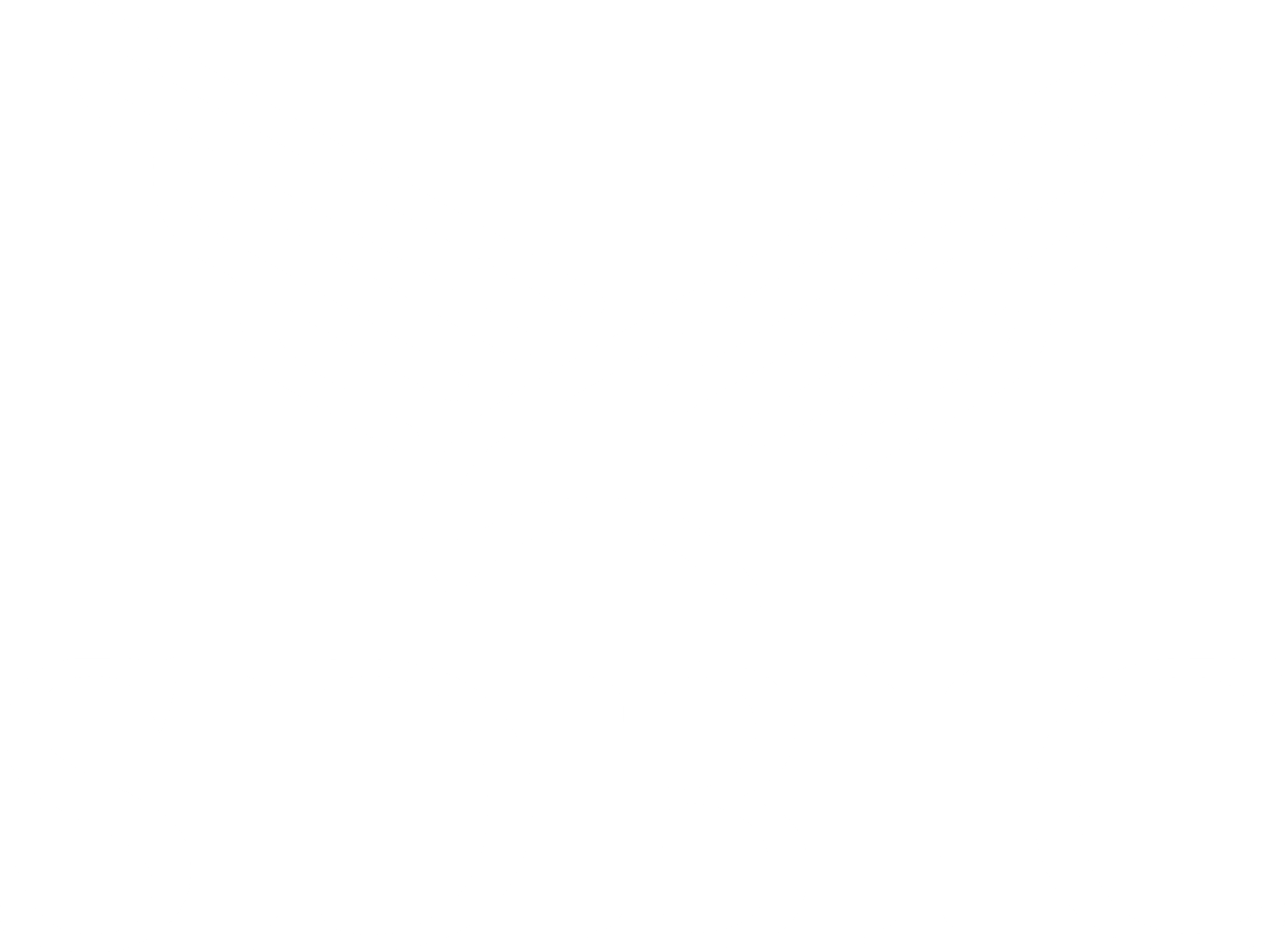 logo SDBIC